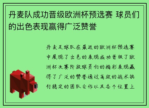 丹麦队成功晋级欧洲杯预选赛 球员们的出色表现赢得广泛赞誉